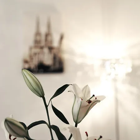 Apartment Domapartment Cologne City Schokoladenmuseum